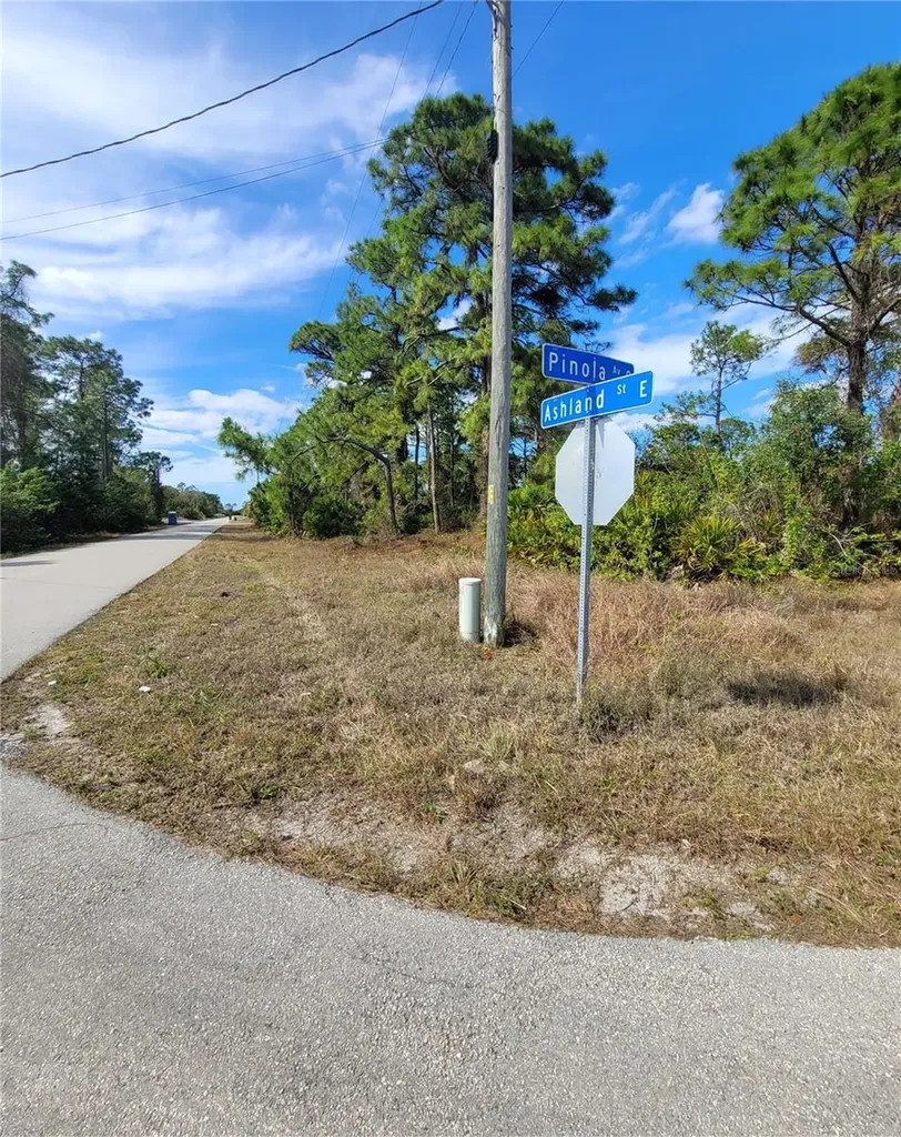 236 Pinola Avenue S Lehigh Acres FL 33974