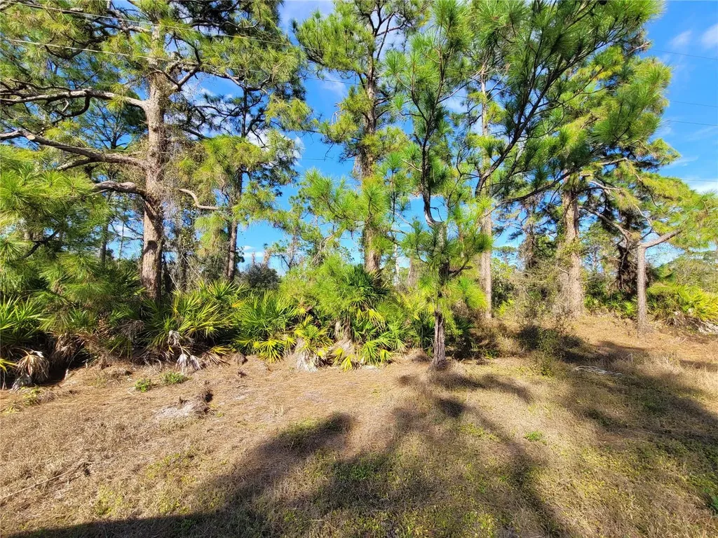 236 Pinola Avenue S Lehigh Acres FL 33974