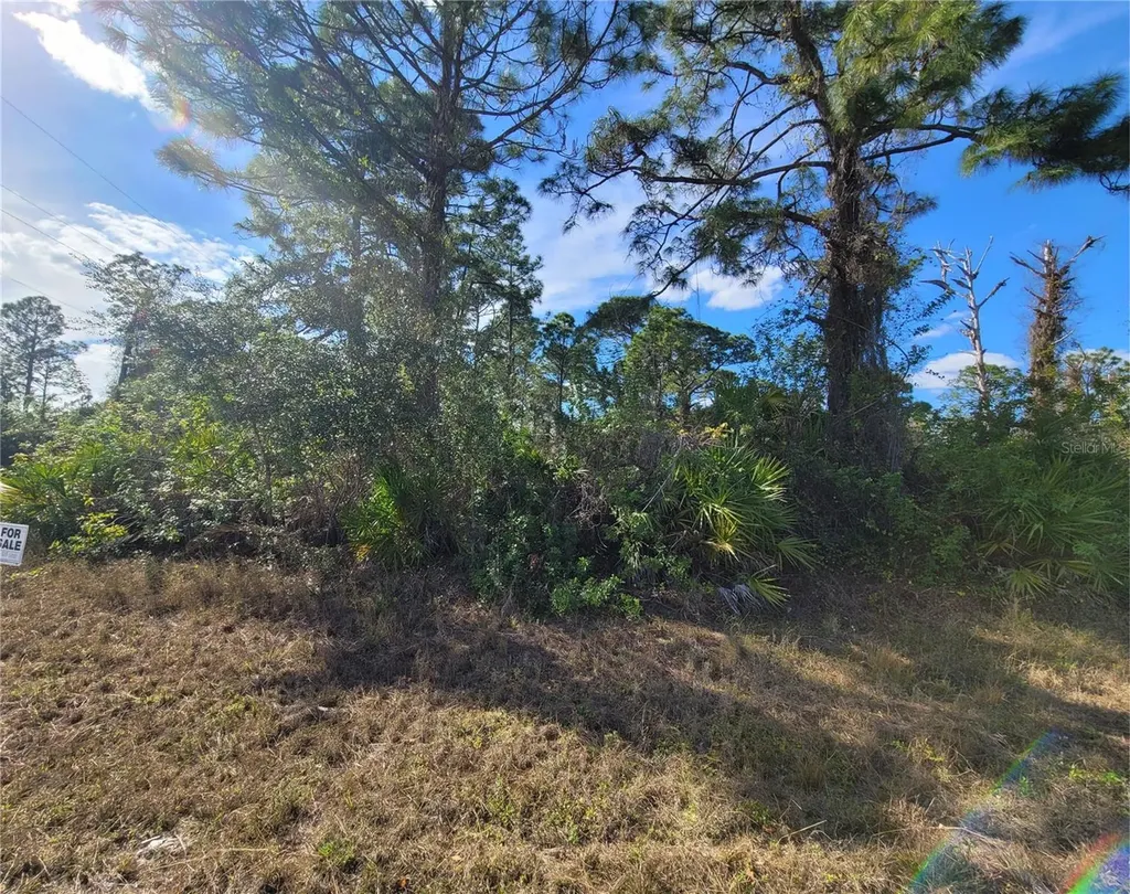 236 Pinola Avenue S Lehigh Acres FL 33974