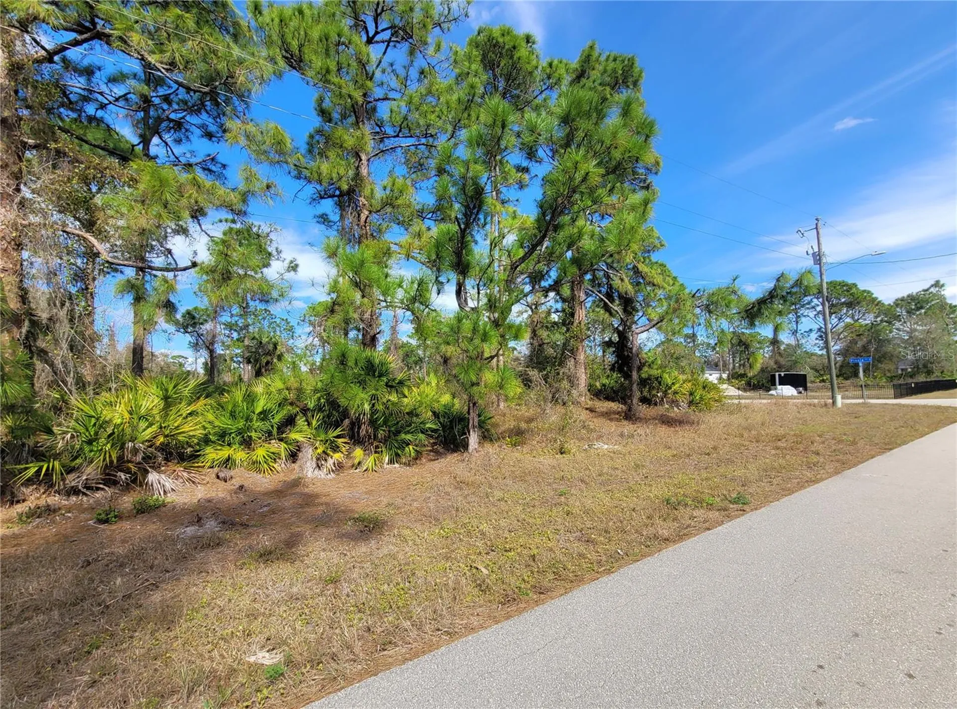 236 Pinola Avenue S Lehigh Acres FL 33974