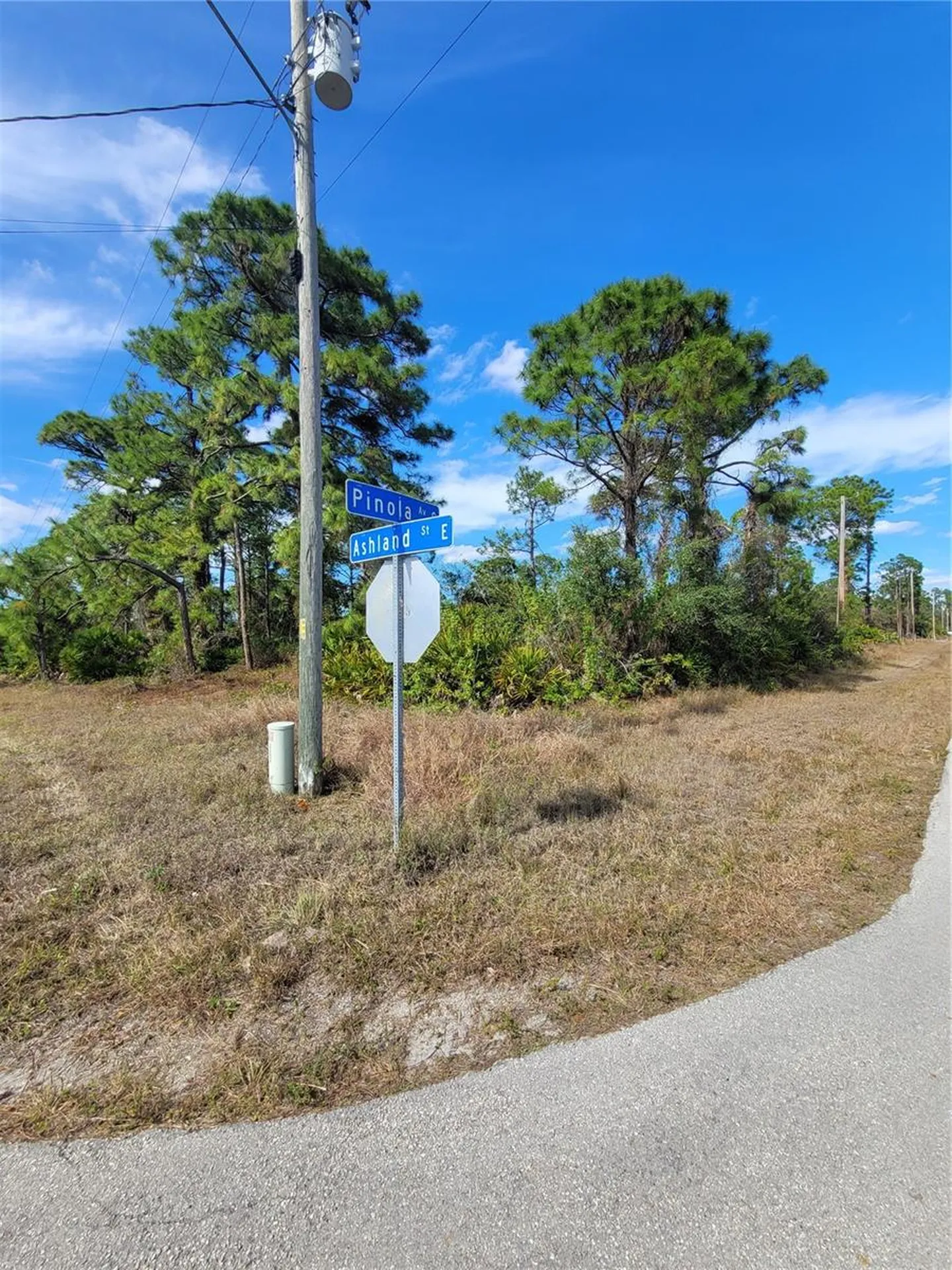 236 Pinola Avenue S Lehigh Acres FL 33974