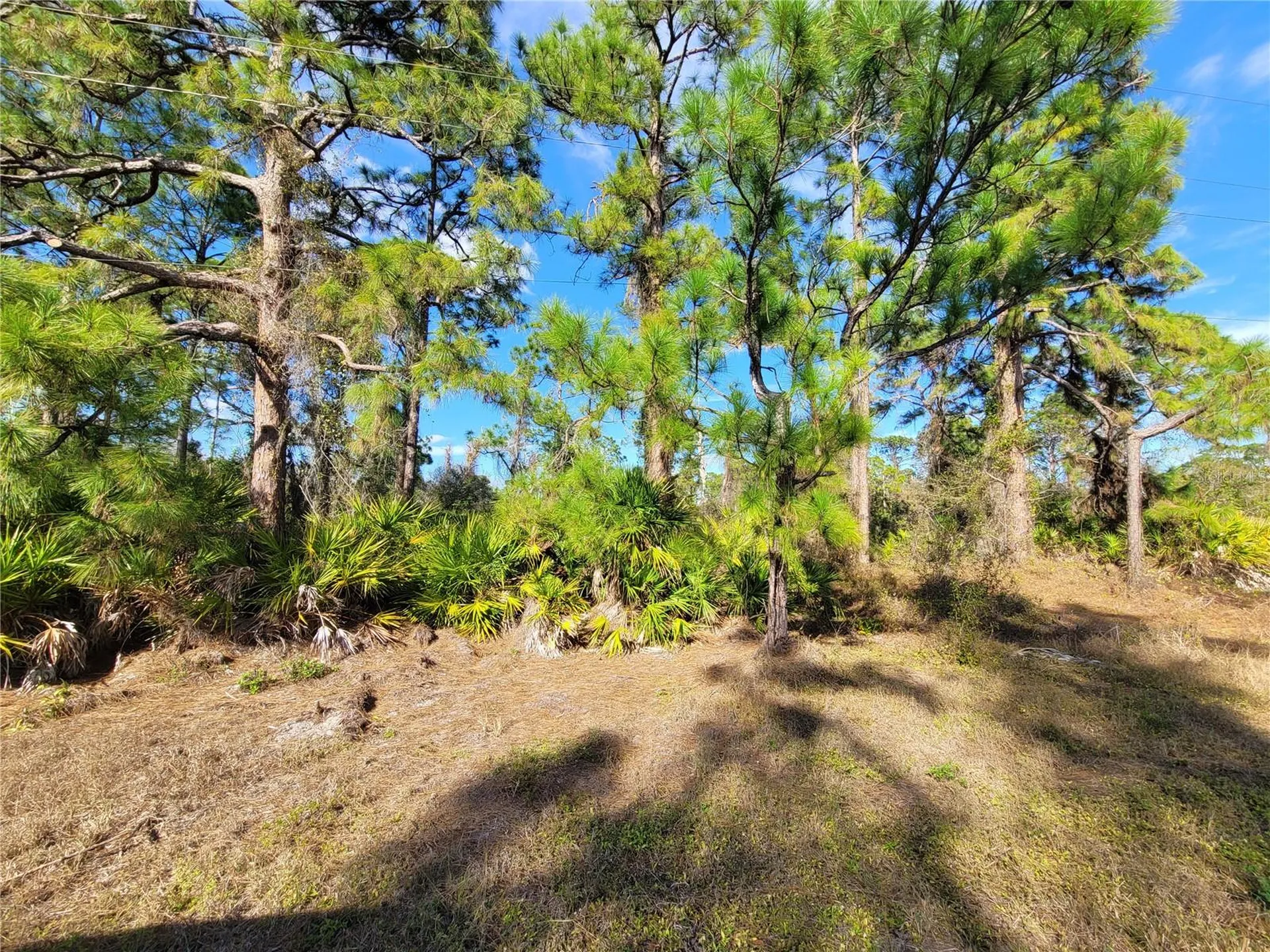 236 Pinola Avenue S Lehigh Acres FL 33974