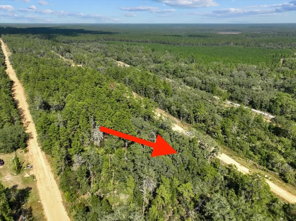 211 Selma Avenue Interlachen FL 32148