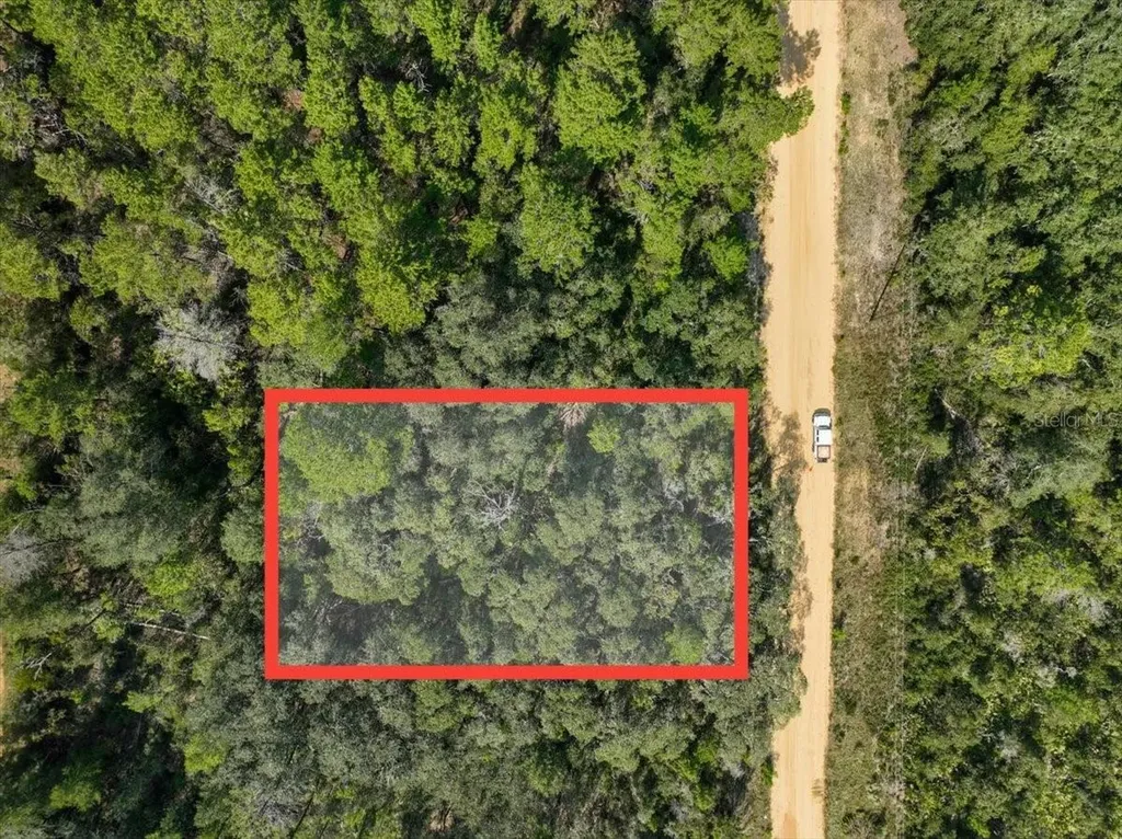 211 Selma Avenue Interlachen FL 32148