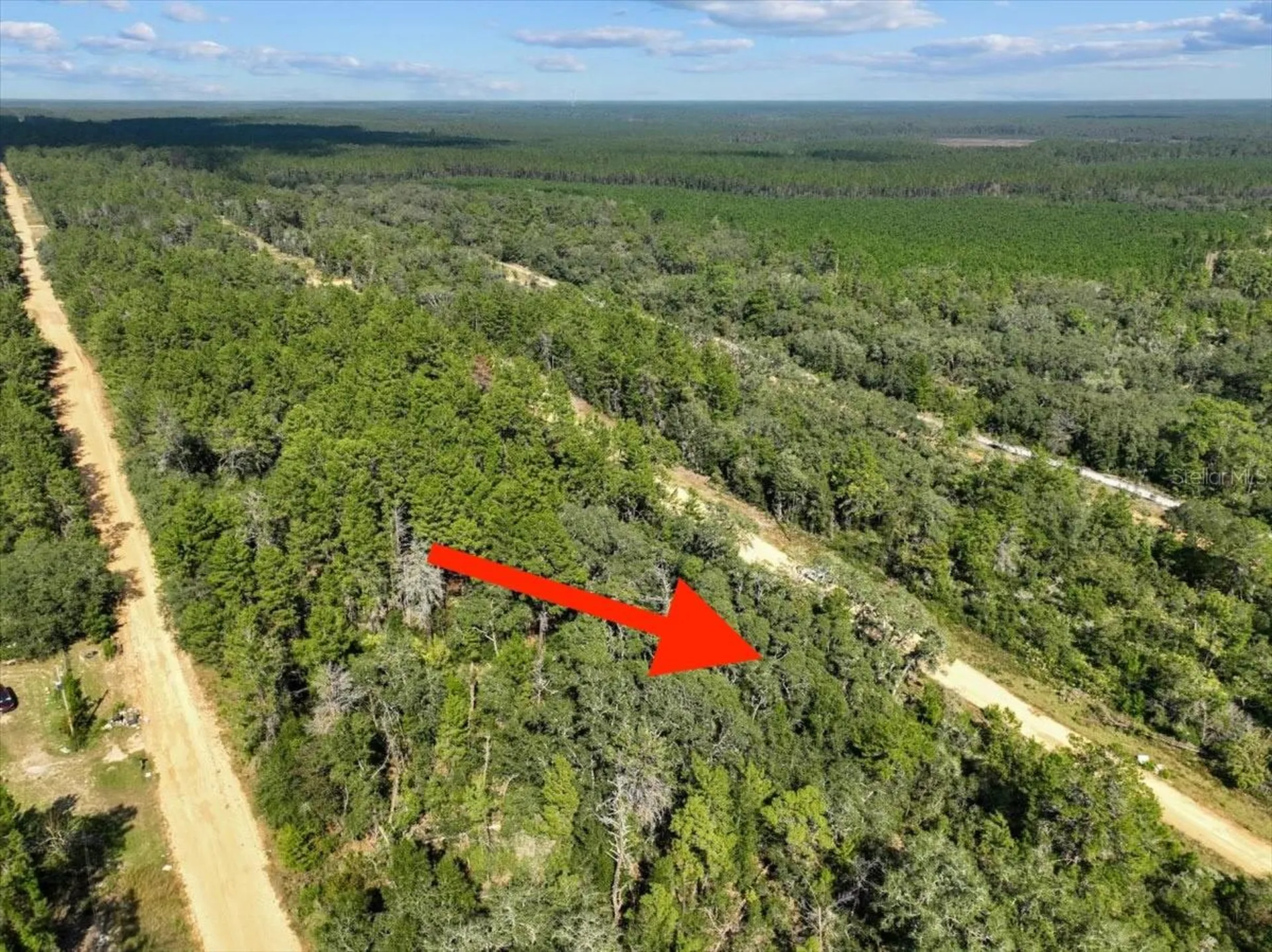 211 Selma Avenue Interlachen FL 32148