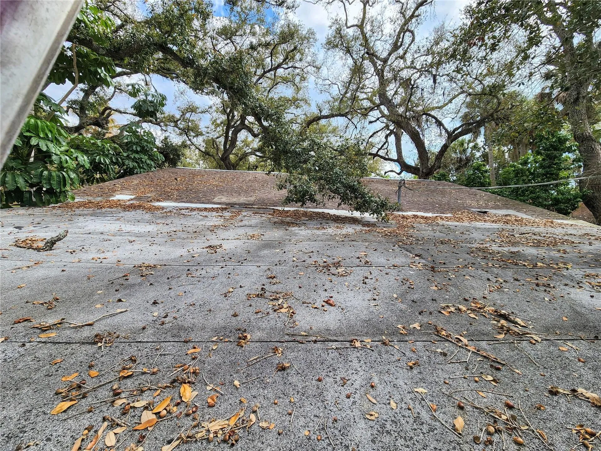 286 Shamrock Drive Venice FL 34293