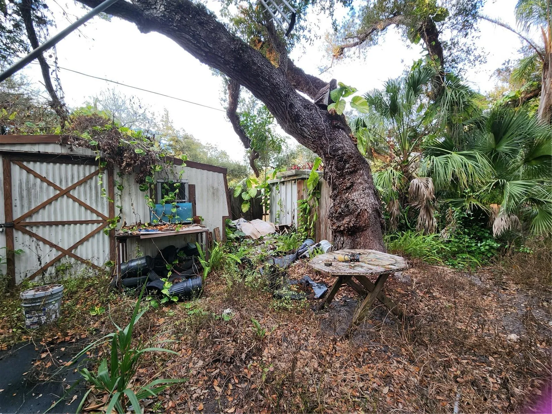 286 Shamrock Drive Venice FL 34293