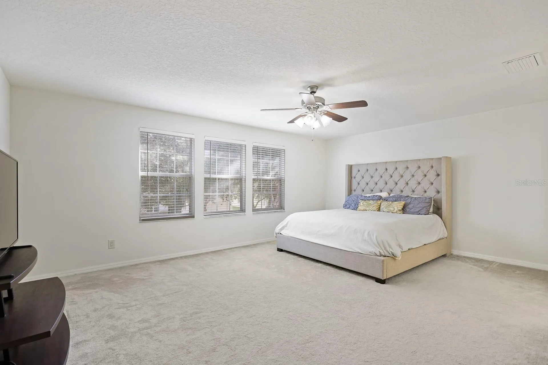 1411 Main Street Valrico FL 33594