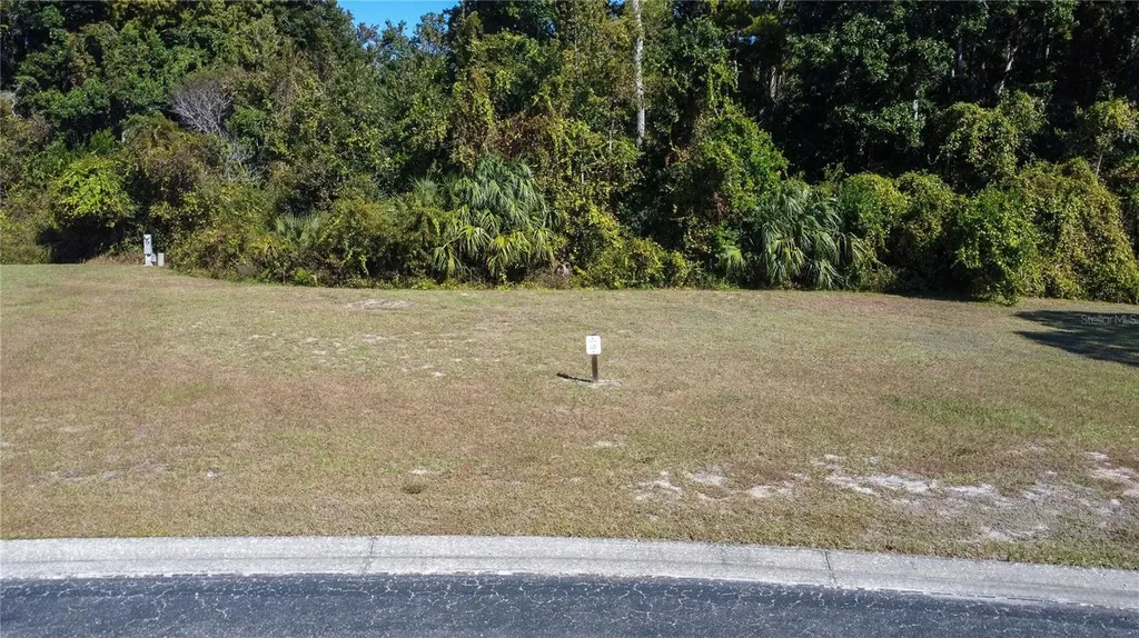Forest Glenn Drive Spring Hill FL 34607
