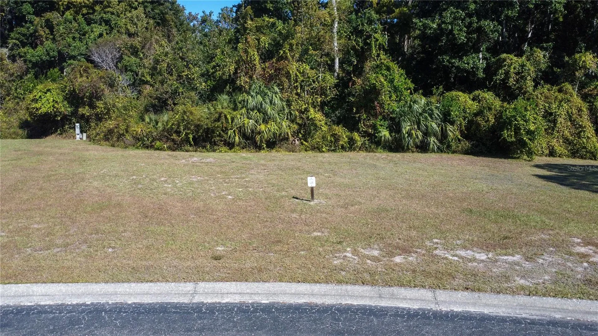 Forest Glenn Drive Spring Hill FL 34607