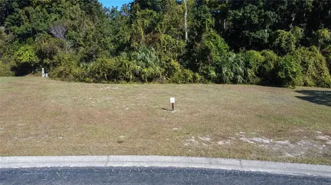 Forest Glenn Drive Spring Hill FL 34607
