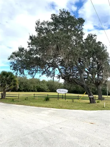 15991 NE 243rd Place Road Fort Mc Coy FL 32134