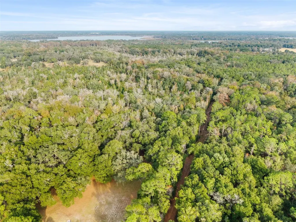 SE 225th Drive Hawthorne FL 32640