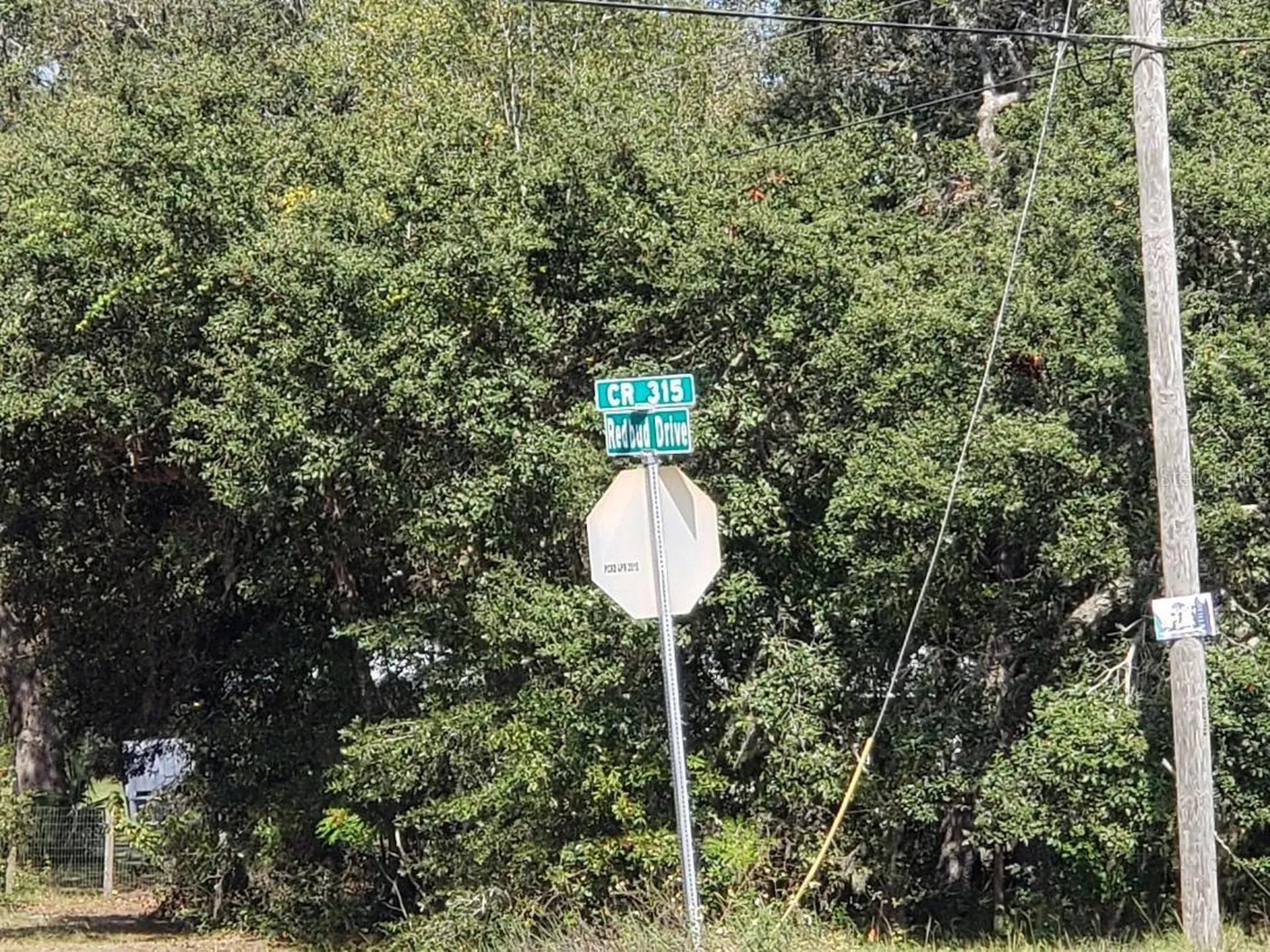 345 S County Road 315 Interlachen FL 32148