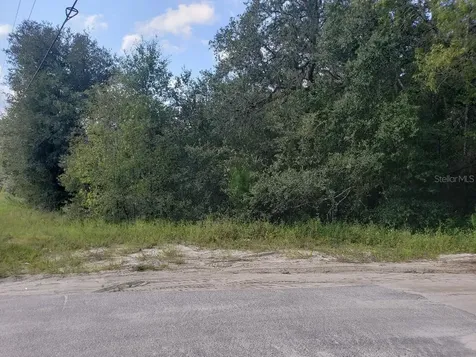 345 S County Road 315 Interlachen FL 32148