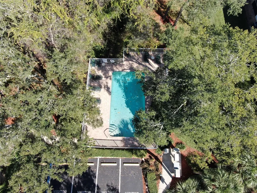 2243 Andover Circle Palm Harbor FL 34683