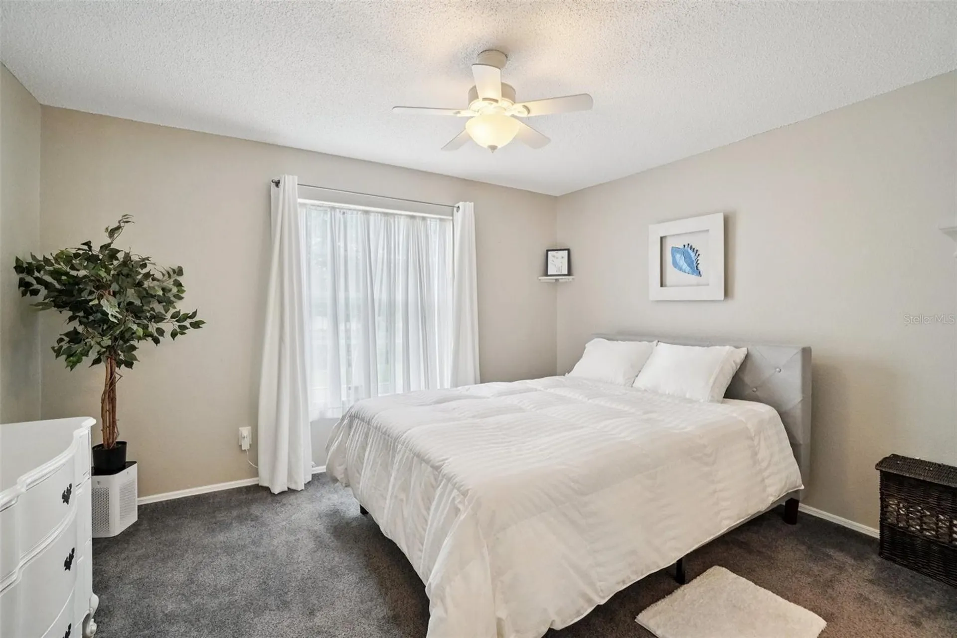 2243 Andover Circle Palm Harbor FL 34683