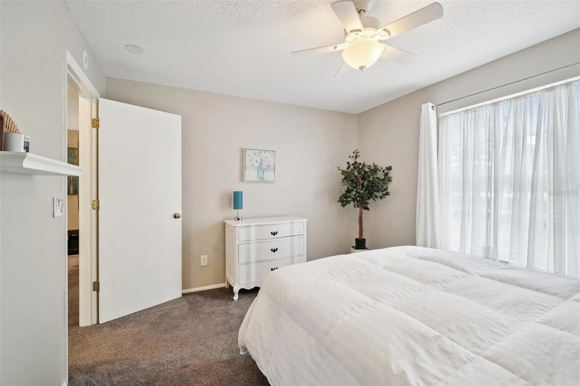 2243 Andover Circle Palm Harbor FL 34683