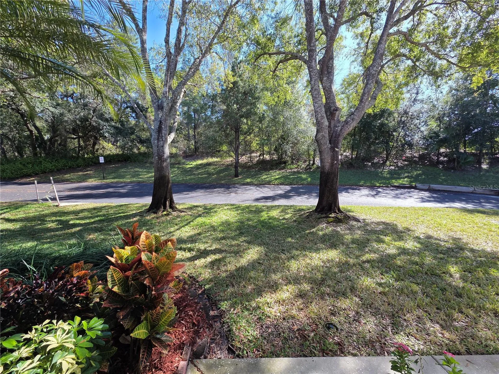 2243 Andover Circle Palm Harbor FL 34683