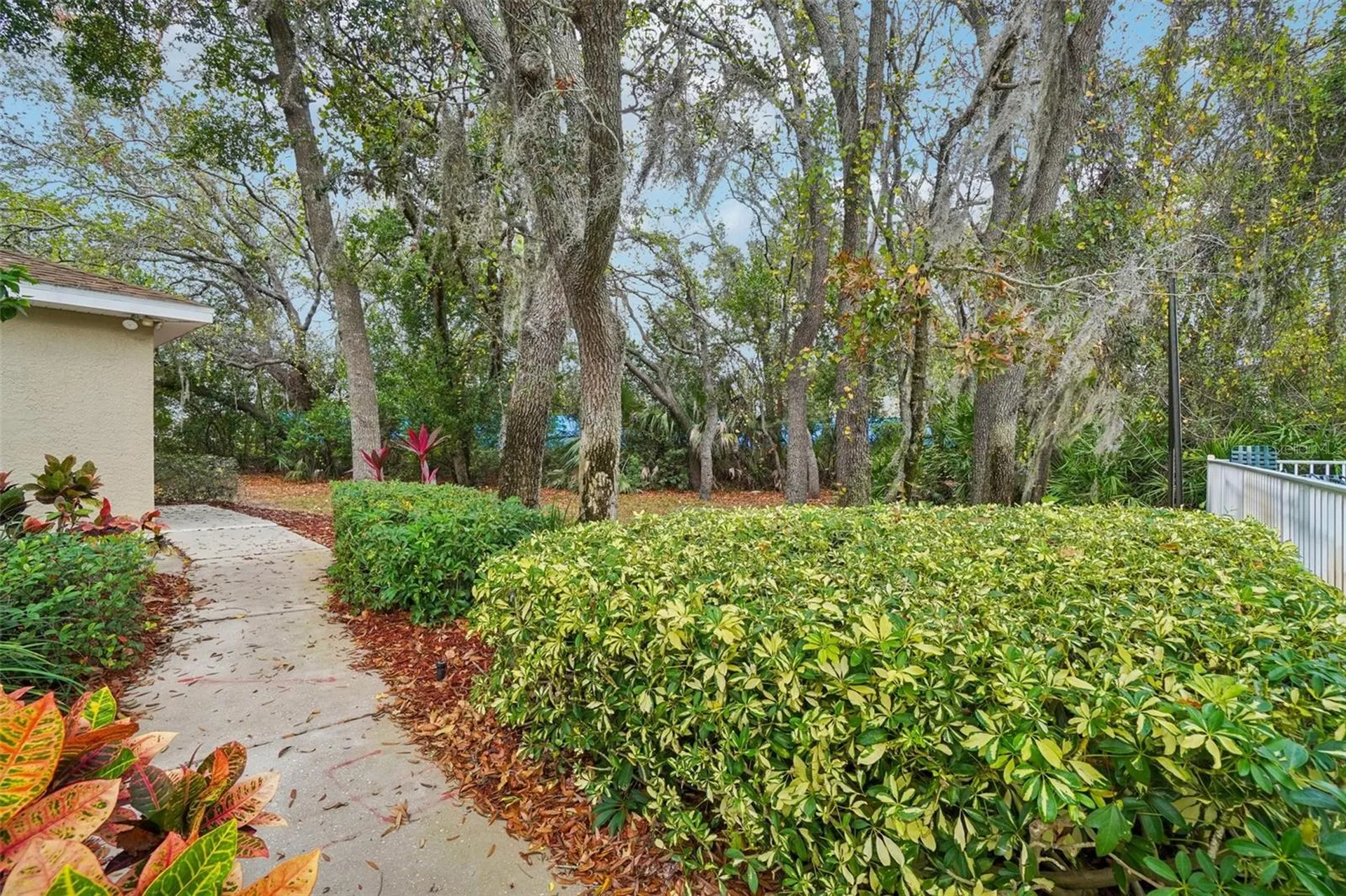 2243 Andover Circle Palm Harbor FL 34683