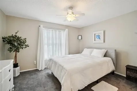 2243 Andover Circle Palm Harbor FL 34683
