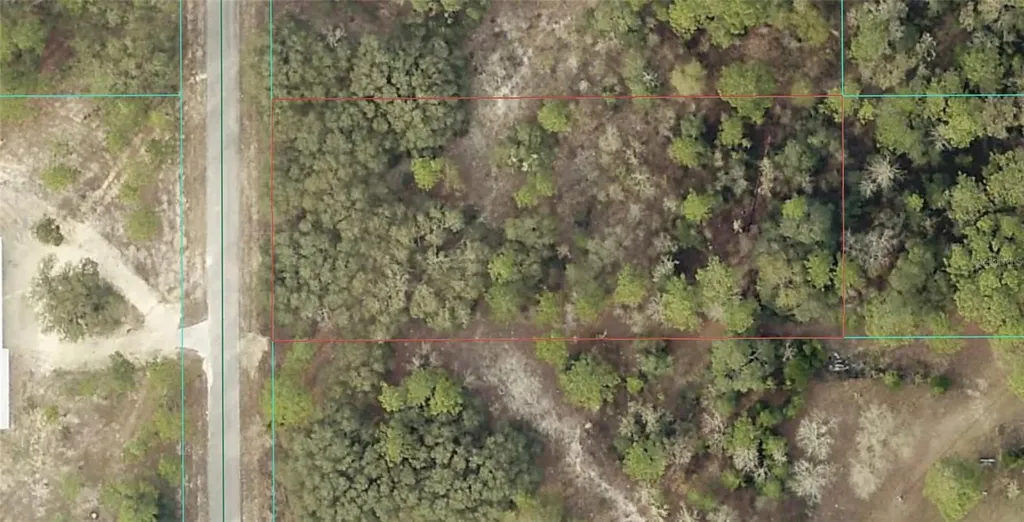 0 Tbd SW Tamiami Place Dunnellon FL 34431
