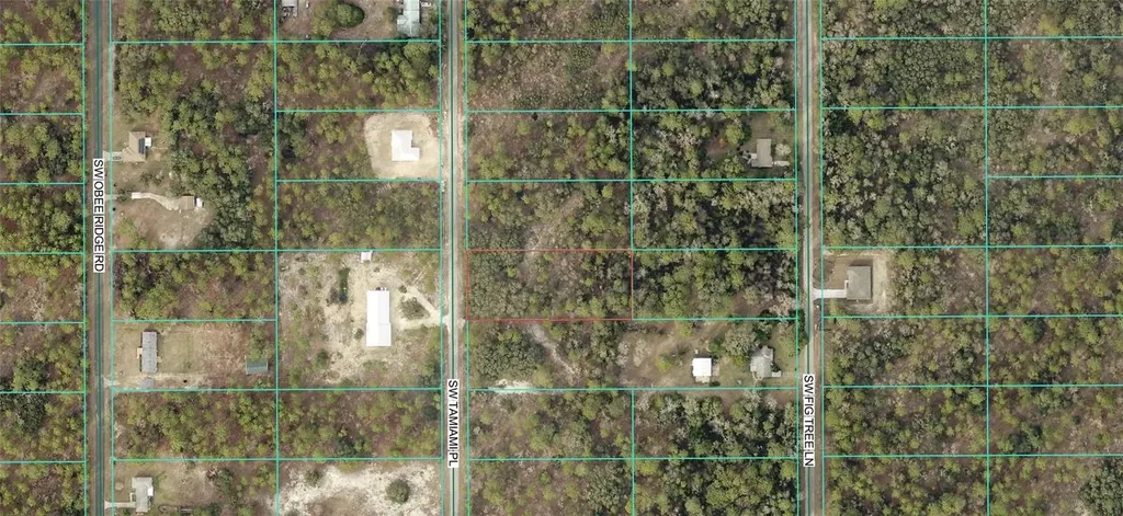0 Tbd SW Tamiami Place Dunnellon FL 34431