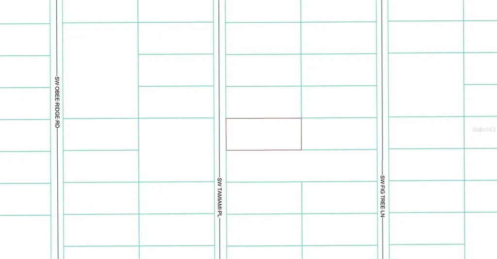0 Tbd SW Tamiami Place Dunnellon FL 34431