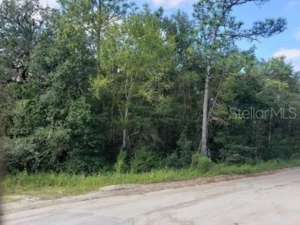 341 S County Road 315 Interlachen FL 32148