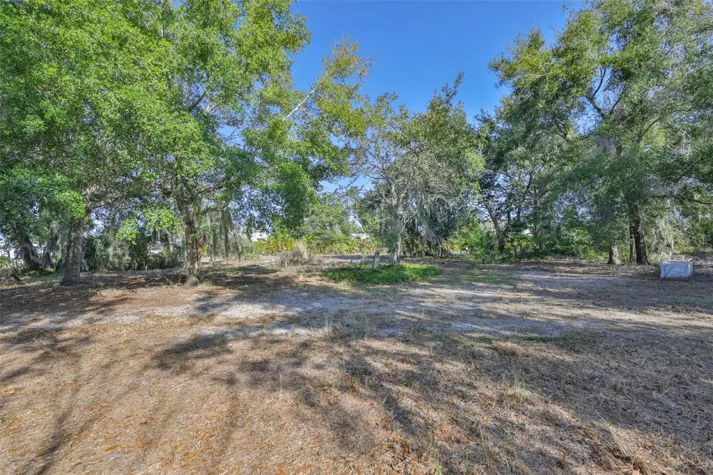 1706 Saffold Park Drive Ruskin FL 33570