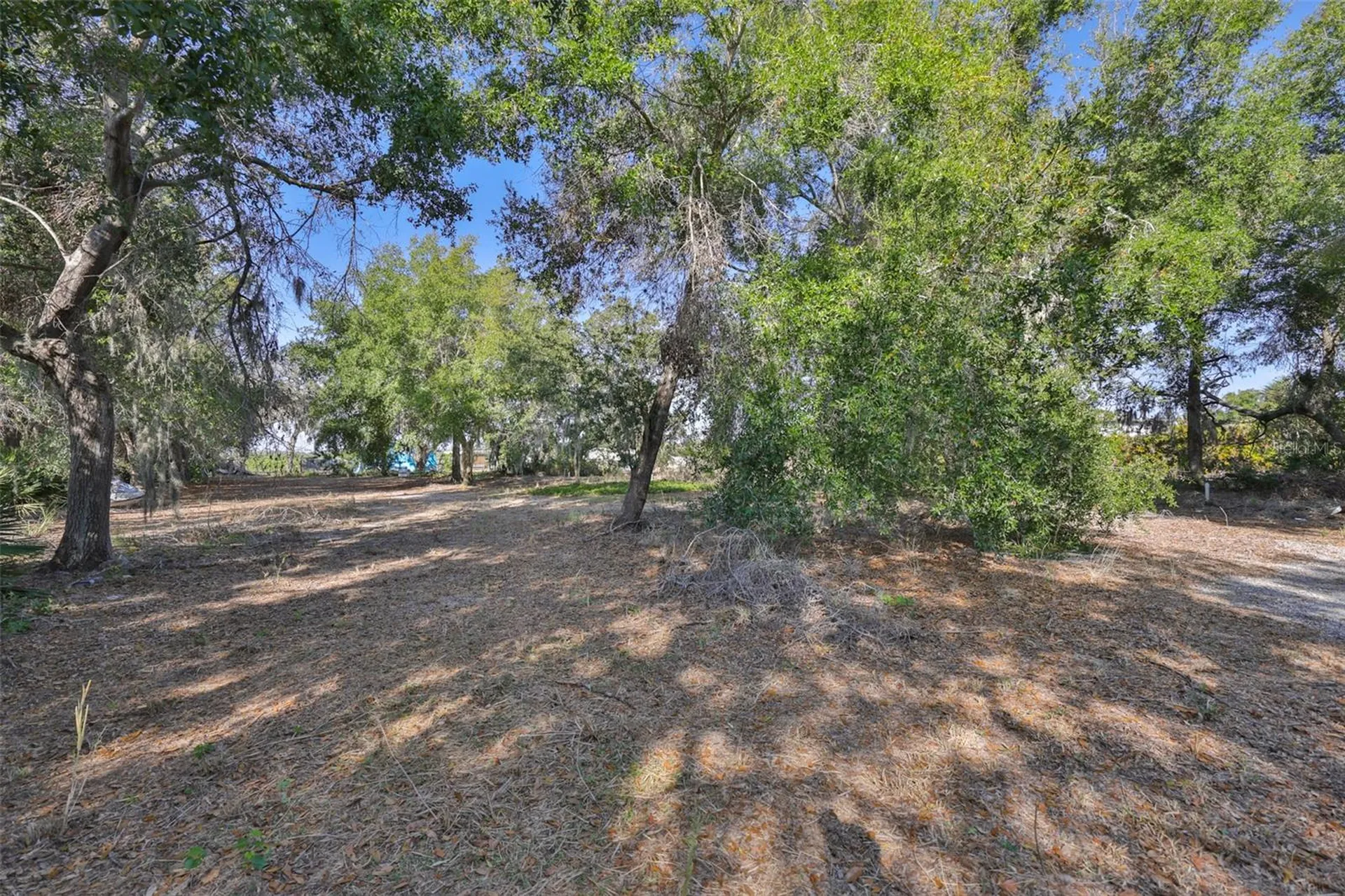 1706 Saffold Park Drive Ruskin FL 33570