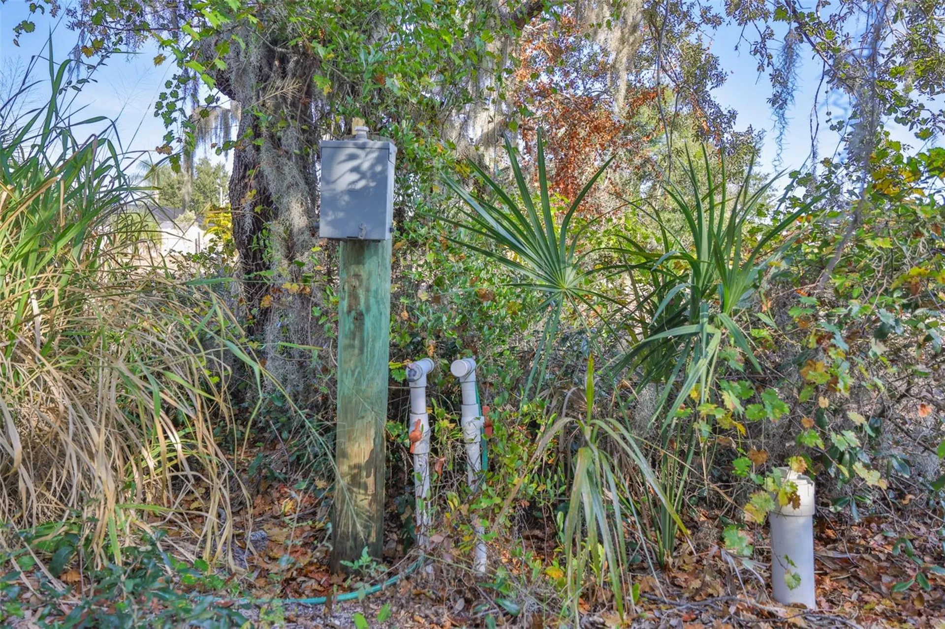 1706 Saffold Park Drive Ruskin FL 33570