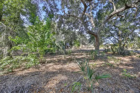 1706 Saffold Park Drive Ruskin FL 33570
