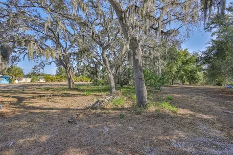 1706 Saffold Park Drive Ruskin FL 33570