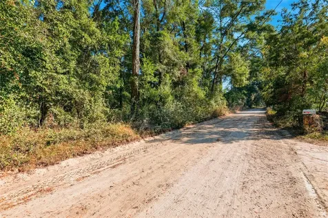 000 NE 40th Street Williston FL 32696
