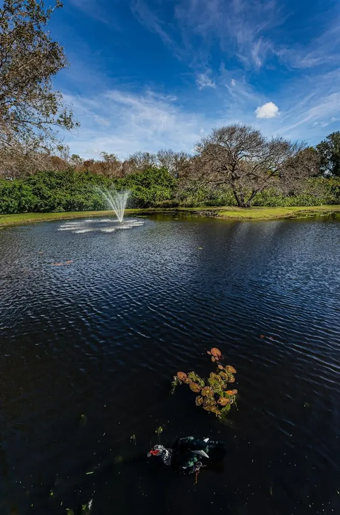 11511 113th Street Largo FL 33778