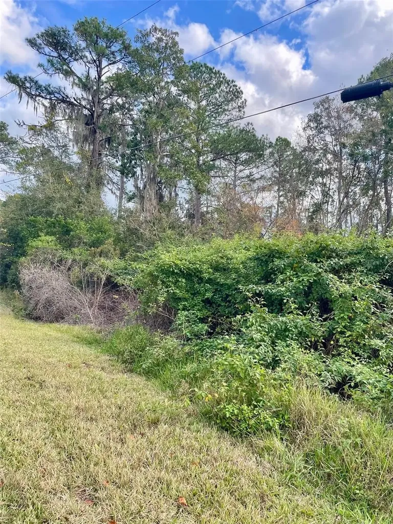 000 Fisher Run Ocklawaha FL 32179