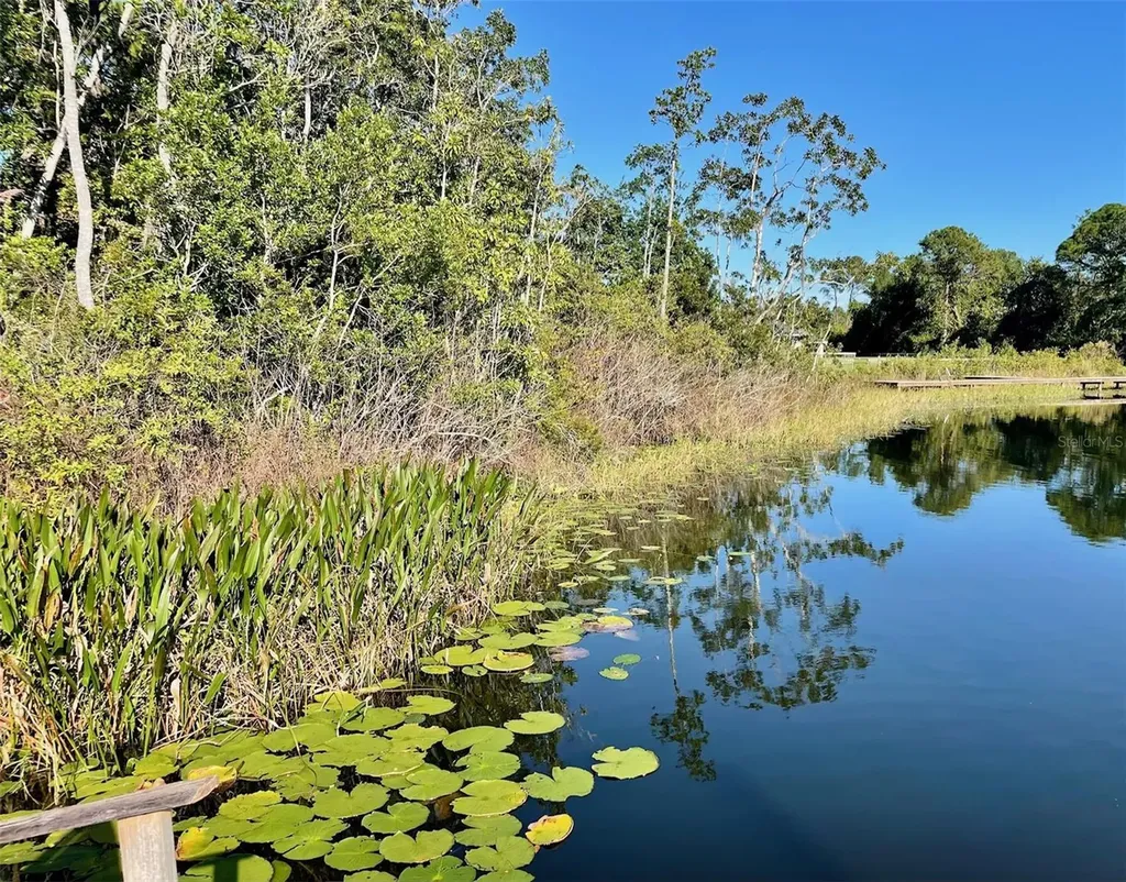 000 Fisher Run Ocklawaha FL 32179