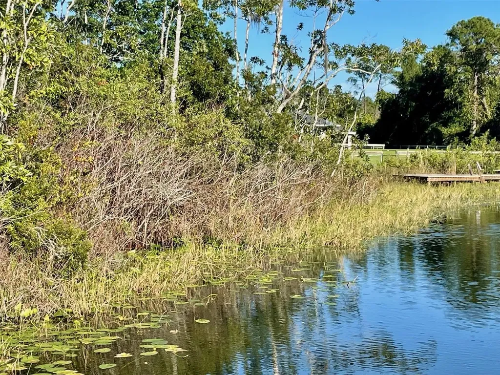000 Fisher Run Ocklawaha FL 32179