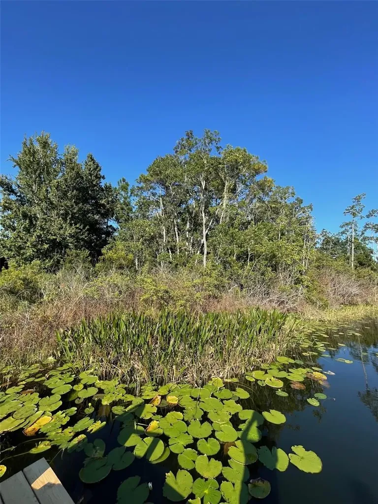 000 Fisher Run Ocklawaha FL 32179