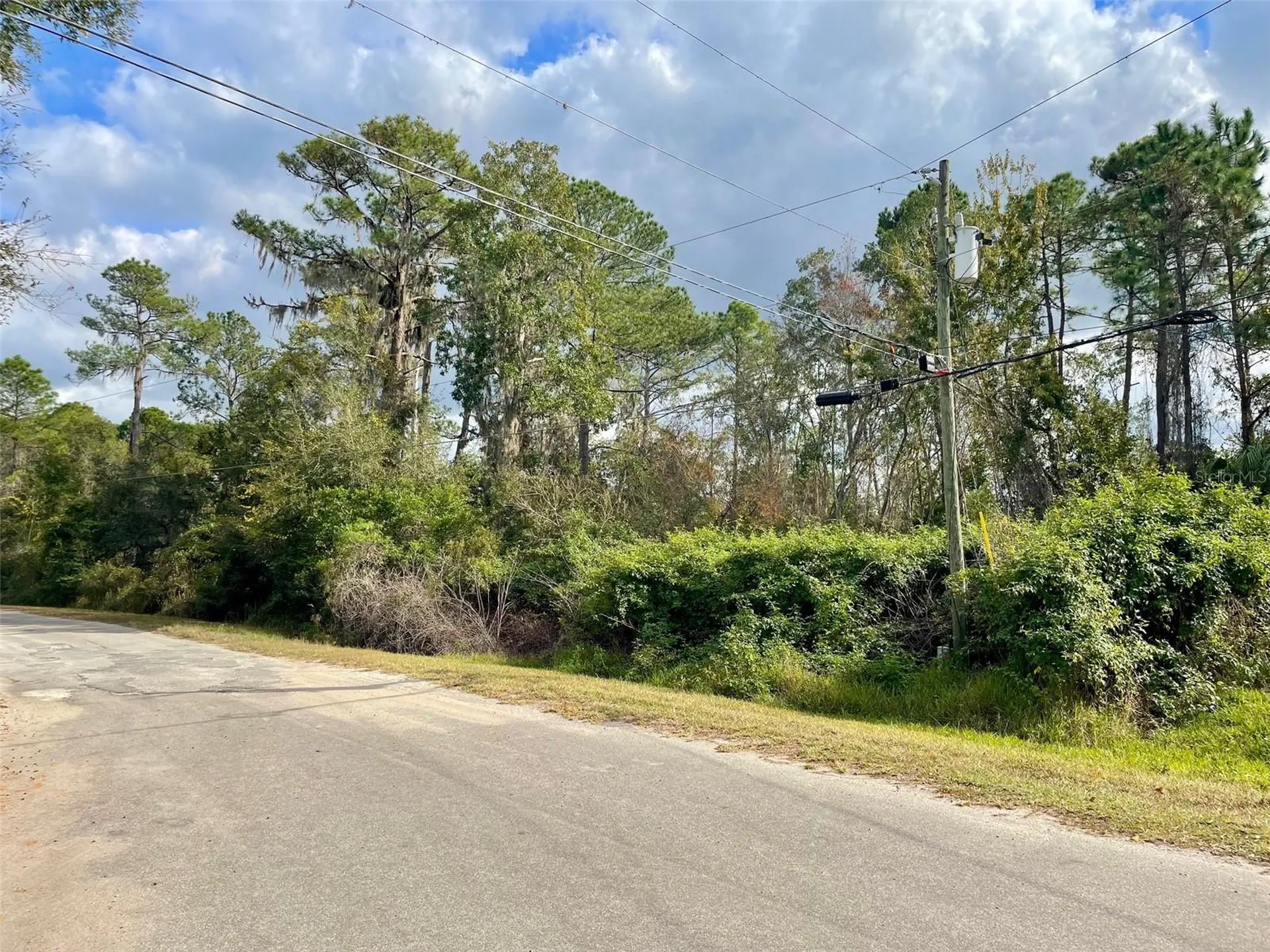 000 Fisher Run Ocklawaha FL 32179