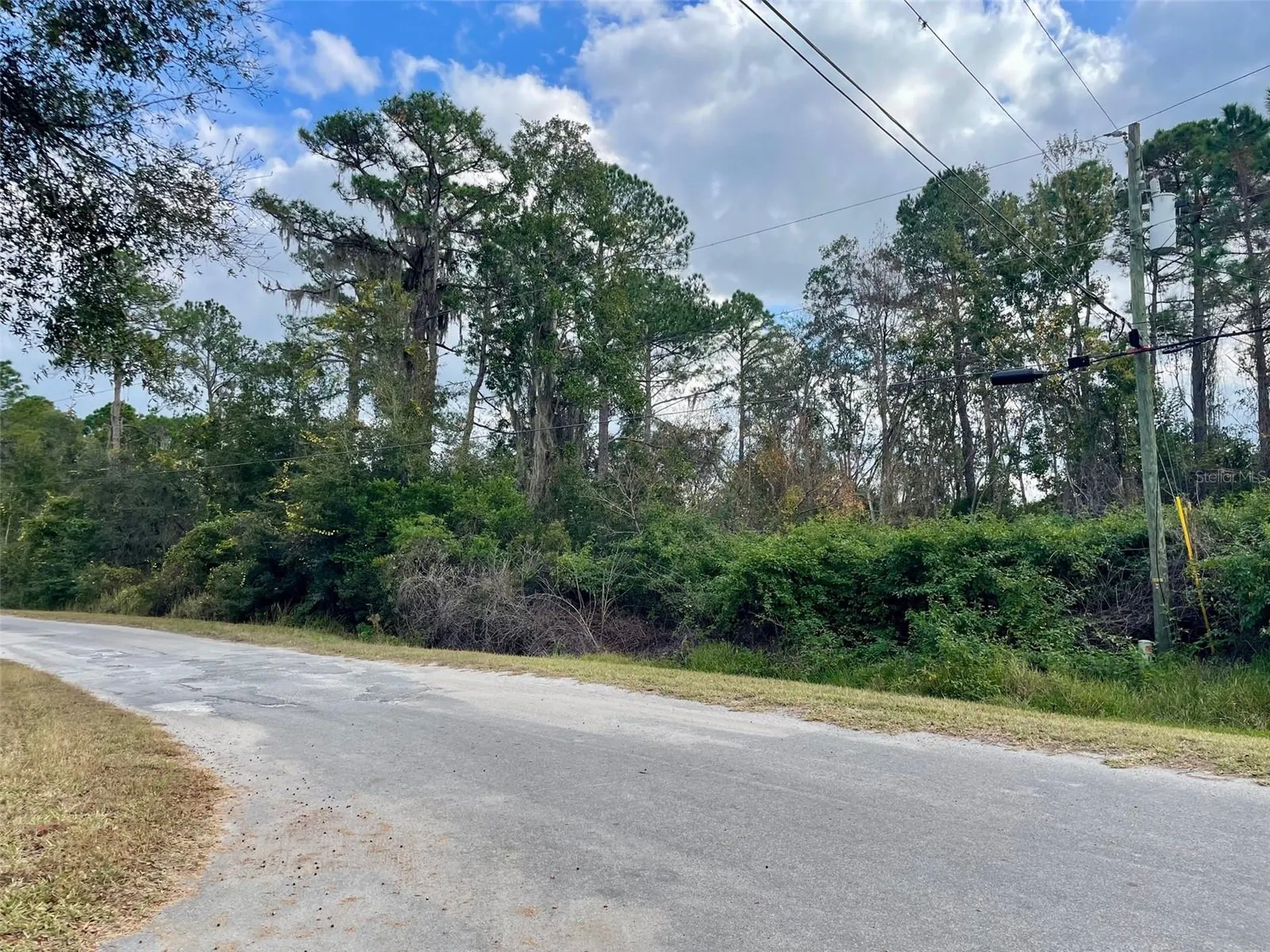 000 Fisher Run Ocklawaha FL 32179