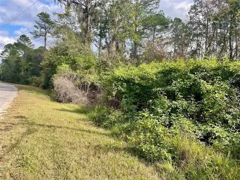 000 Fisher Run Ocklawaha FL 32179