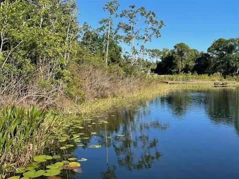000 Fisher Run Ocklawaha FL 32179
