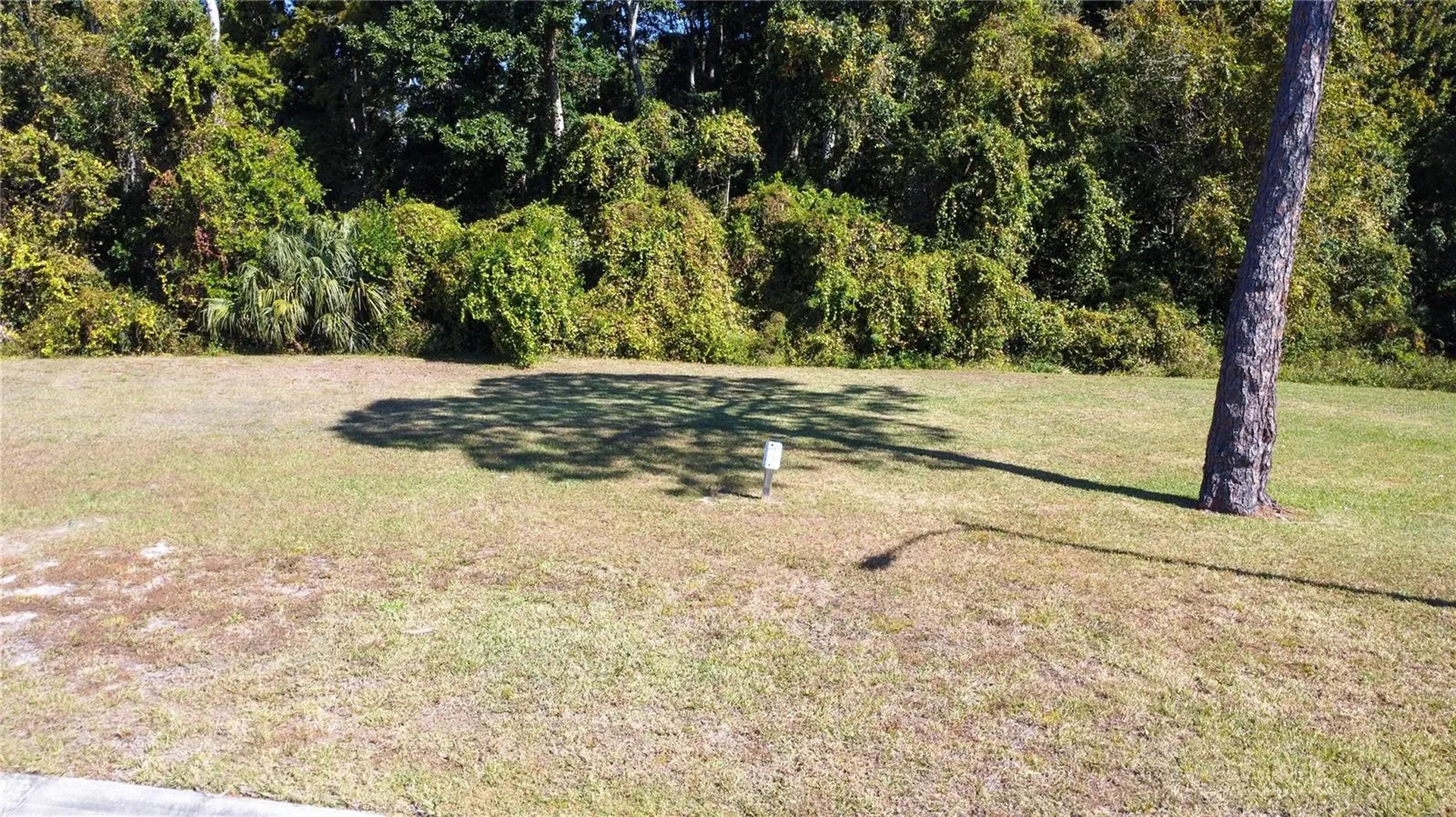 Forest Glenn Drive Spring Hill FL 34607