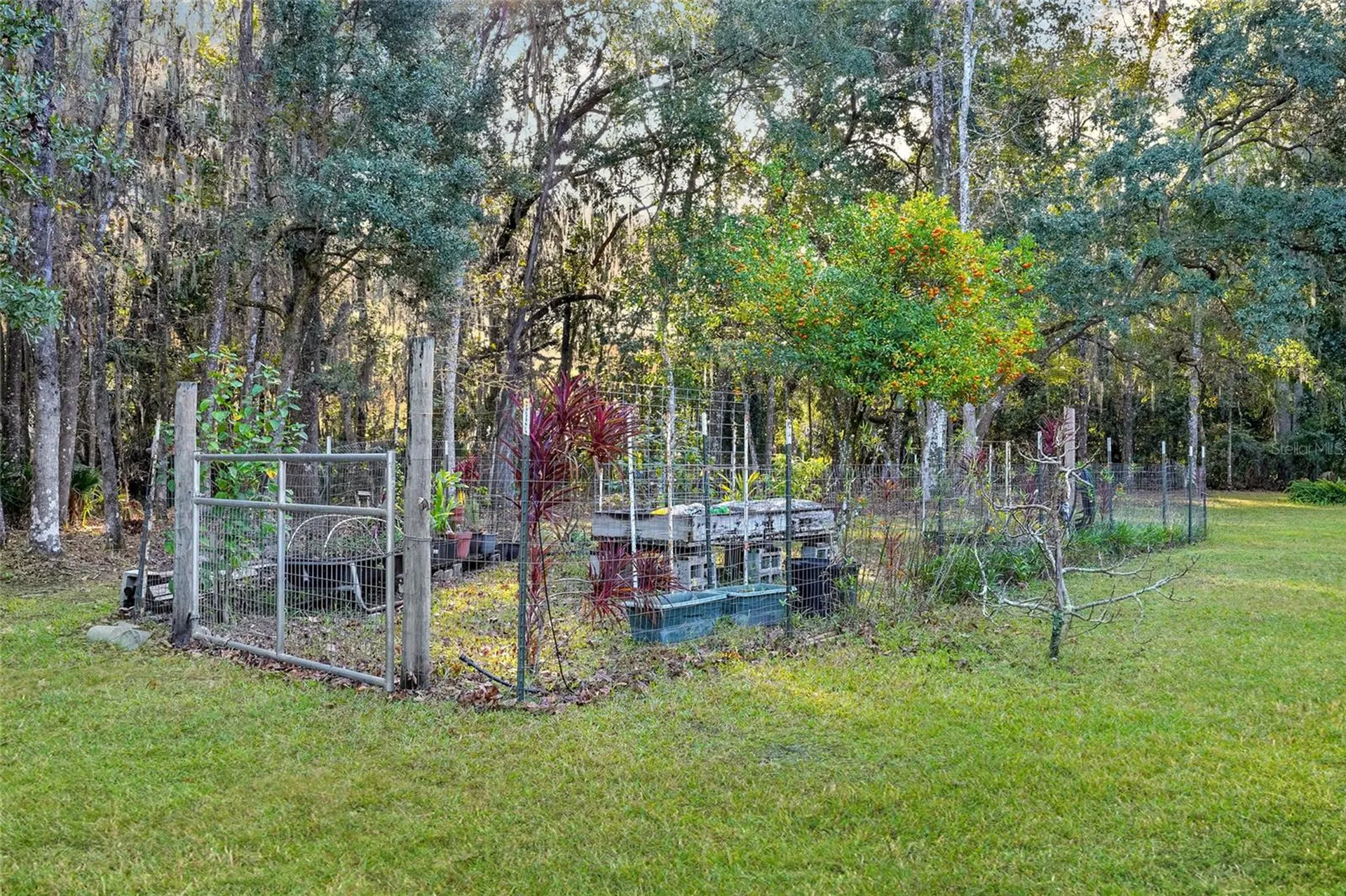 122 Drayton Island Road Georgetown FL 32139