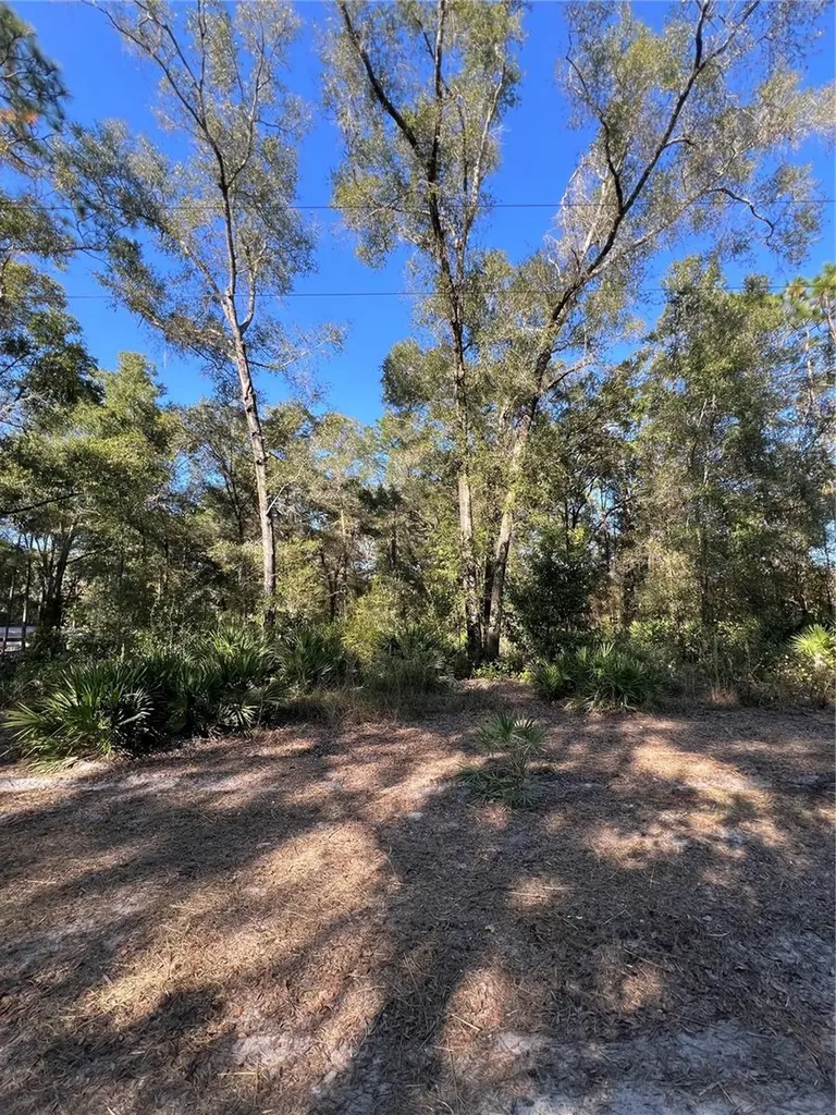 Tbd SE 179th Place Summerfield FL 34491
