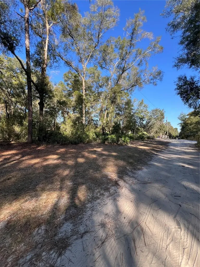 Tbd SE 179th Place Summerfield FL 34491