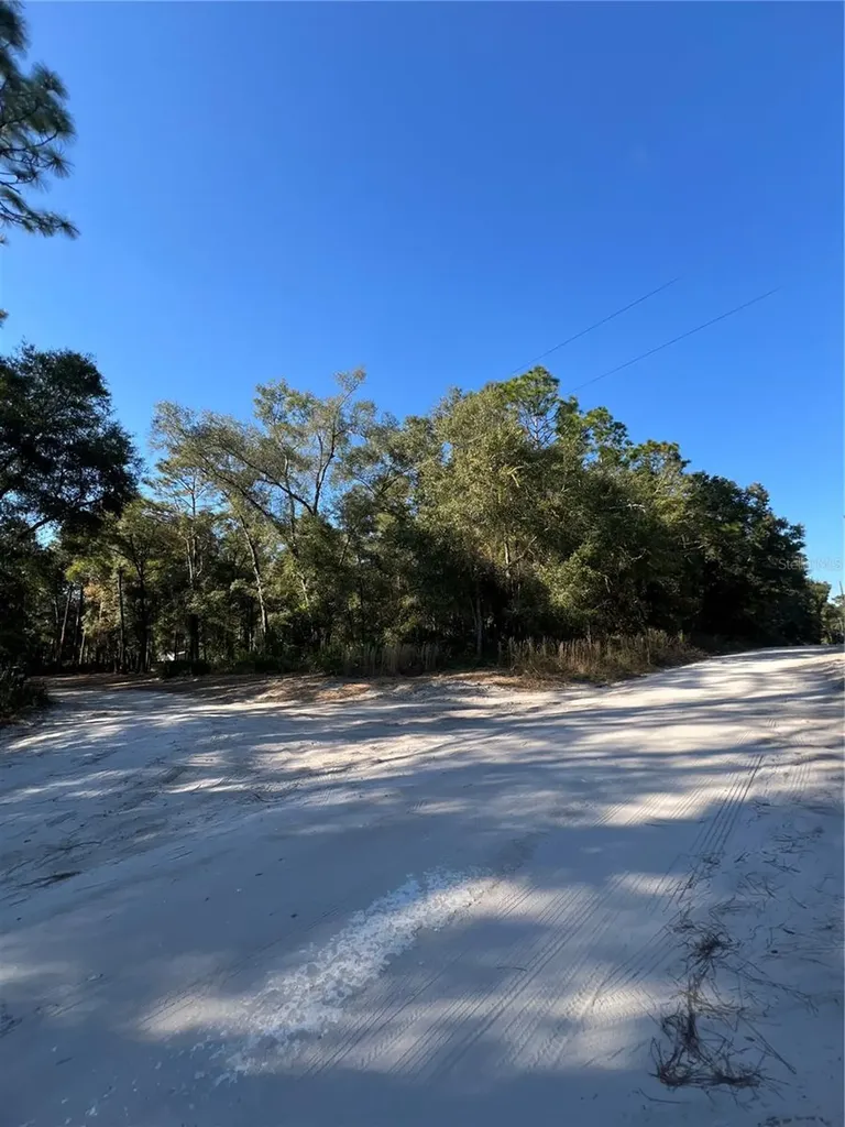 Tbd SE 179th Place Summerfield FL 34491