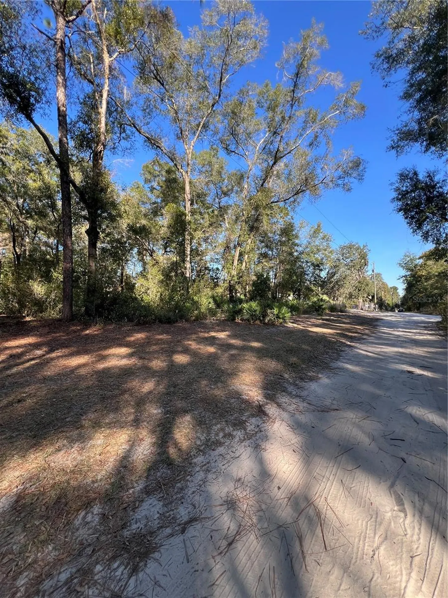 Tbd SE 179th Place Summerfield FL 34491